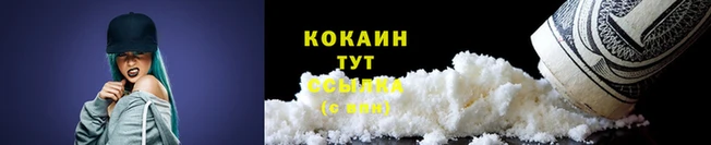 мяу мяу мука Кулебаки