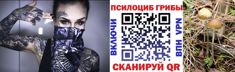 Галлюциногенные грибы Magic Shrooms  Купить  Хасавюрт 